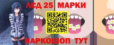 гидра Ставрополь