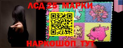 гидра Ставрополь