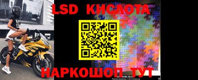 гидра Ставрополь