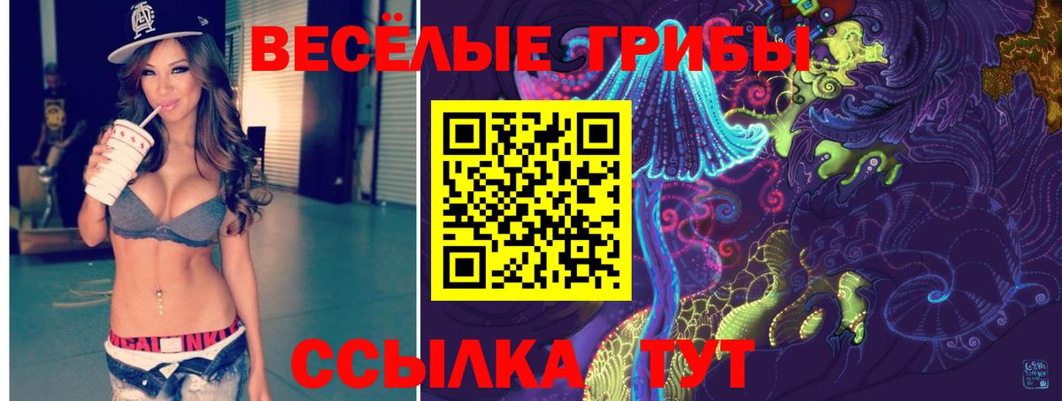 цены наркотик  Галлюциногенные грибы Psilocybine cubensis  Новочебоксарск  Вход с VPN  Галлюциногенные грибы прущие грибы 