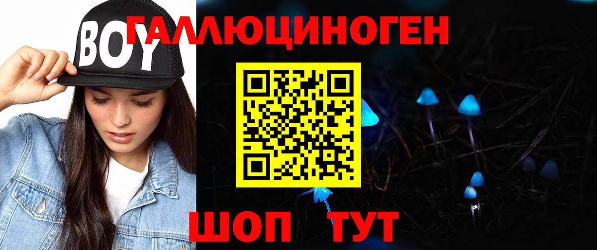 Галлюциногенные грибы Psilocybine cubensis Новочебоксарск
